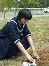 苗植え1.jpg